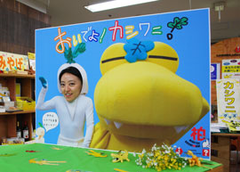 20140222_004_001