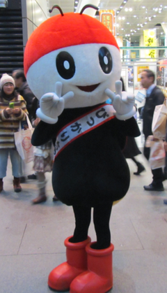 pikkarichan-NGN013