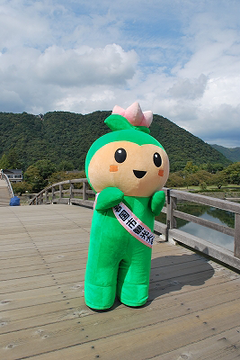 ha-suchan-YMG003