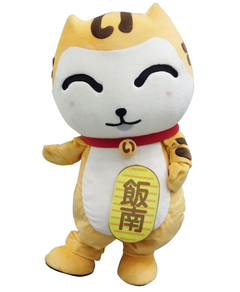 iinyan-SMN_006