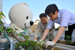 20140514_004_001