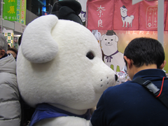 blog_062