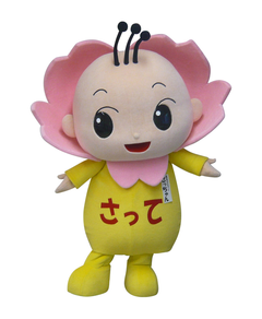 sacchan-SIT_006