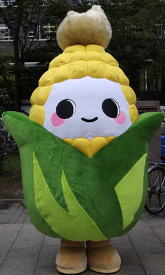 kibicchi-HKD_049