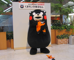 blog-008