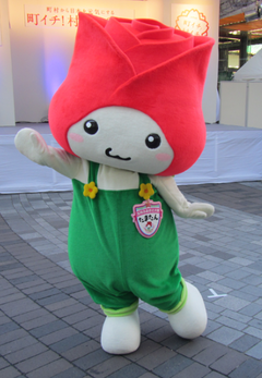 tamatan-GUM_011
