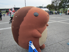 blog-017