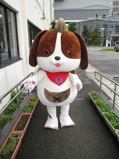 poistopkun-AIC_073